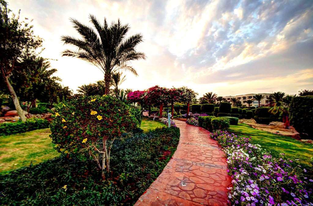 Aurora Oriental Resort Charm el-Cheikh Extérieur photo
